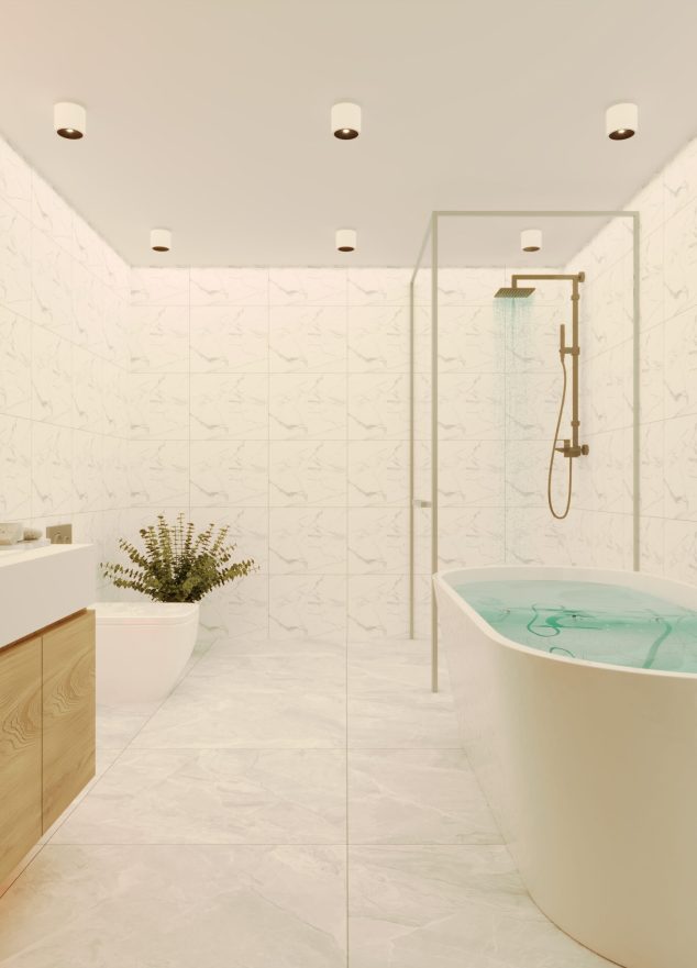 bathroom view-2